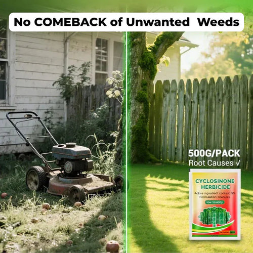 Cyclosinone Herbicide Granules 500gms  ( BUY 1  GET 1 FREE )